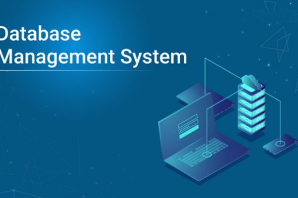 Database Management - course image